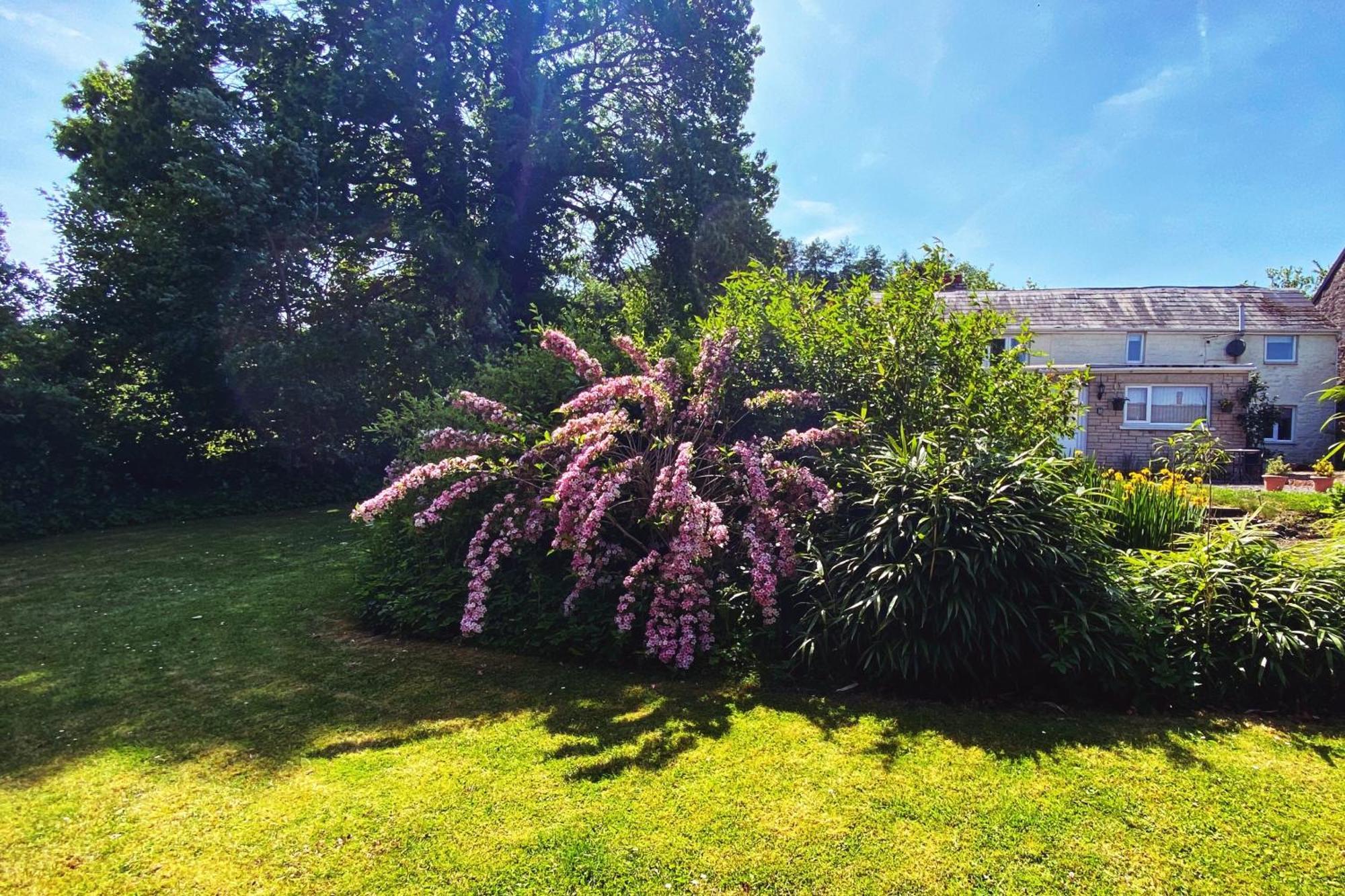 Silhouette Cottage Coleford  Exterior photo